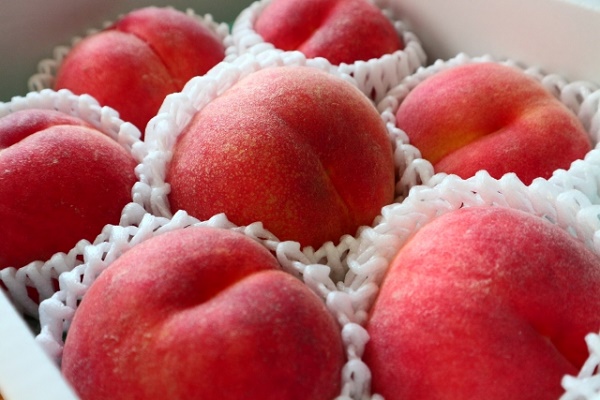 今が旬の桃「あかつき」をお取り寄せで楽しもう♪通販で買えるそのほかの品種も紹介！