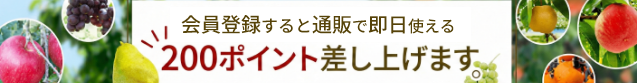 会員登録するとプレゼント