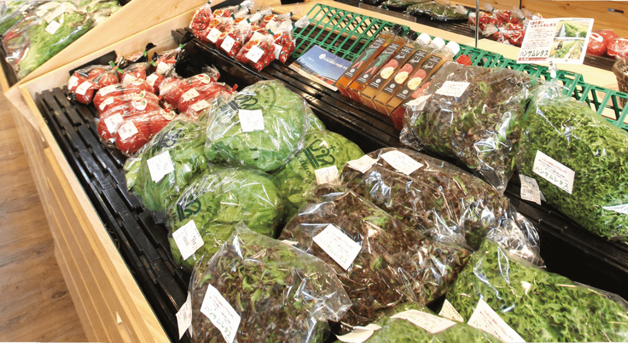 オンラインストア | COCORO FARM VILLAGE