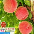 あかつき
