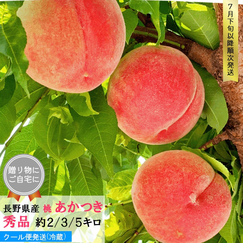 あかつき