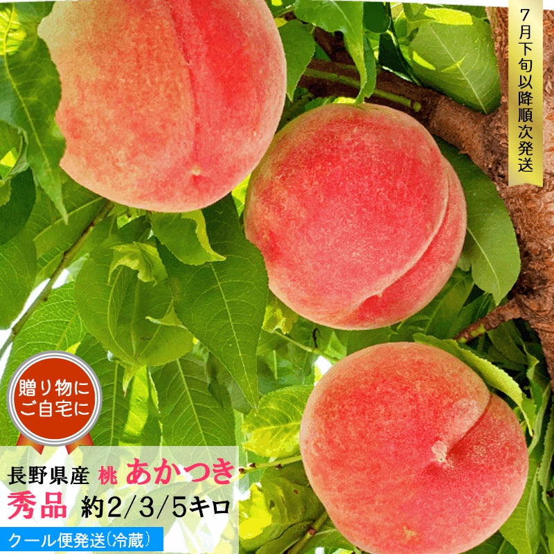 あかつき