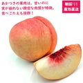 あかつきの特徴