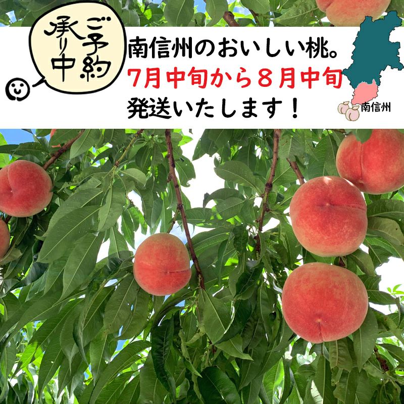 長野県産 桃 あかつき 特秀 約3キロ / 約5キロギフト 贈答 | COCORO