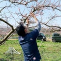 あかつきの生産者