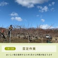 1〜2月剪定作業