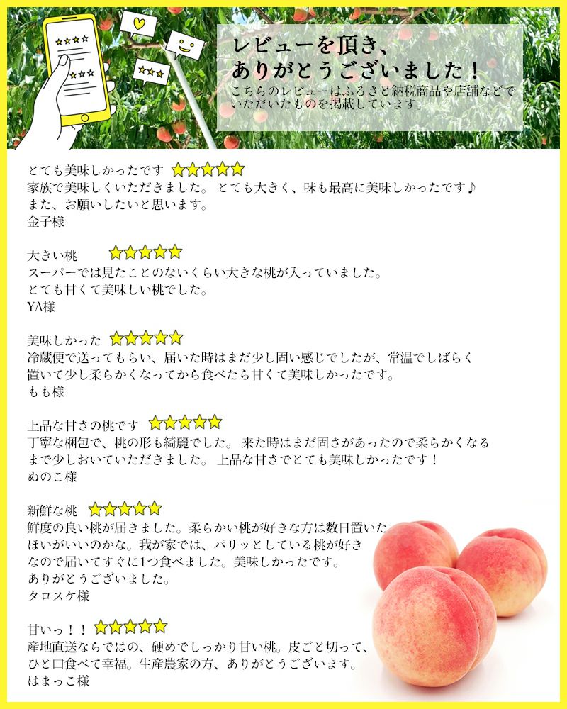 長野県産 桃 あかつき 特秀 約3キロ / 約5キロギフト 贈答 | COCORO