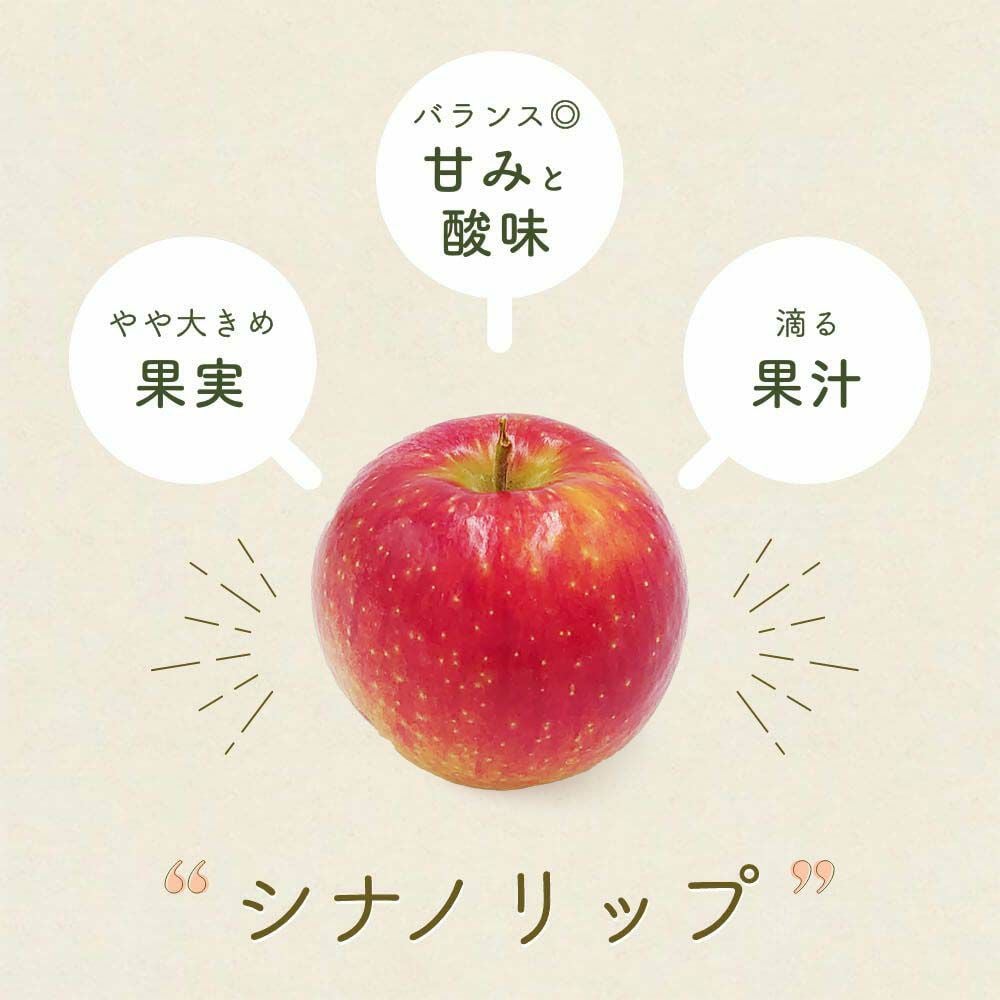 シナノリップ