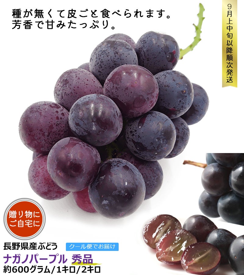 ナガノパープル