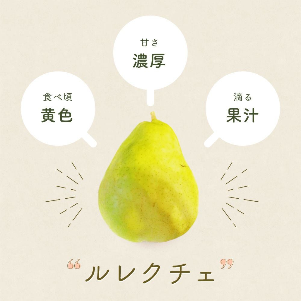 特徴