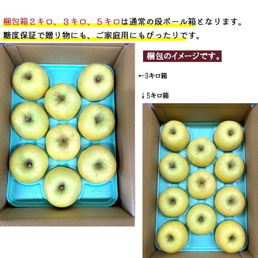 長野県産 りんごシナノゴールド プレミアム | COCORO FARM VILLAGE