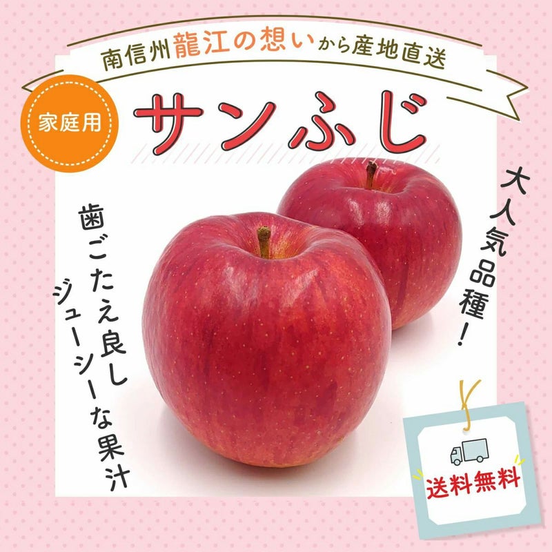 【訳あり】長野県産 りんご サンふじ 家庭用