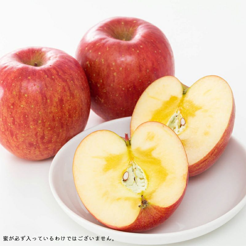 訳あり】長野県産 りんご サンふじ 家庭用 | COCORO FARM VILLAGE