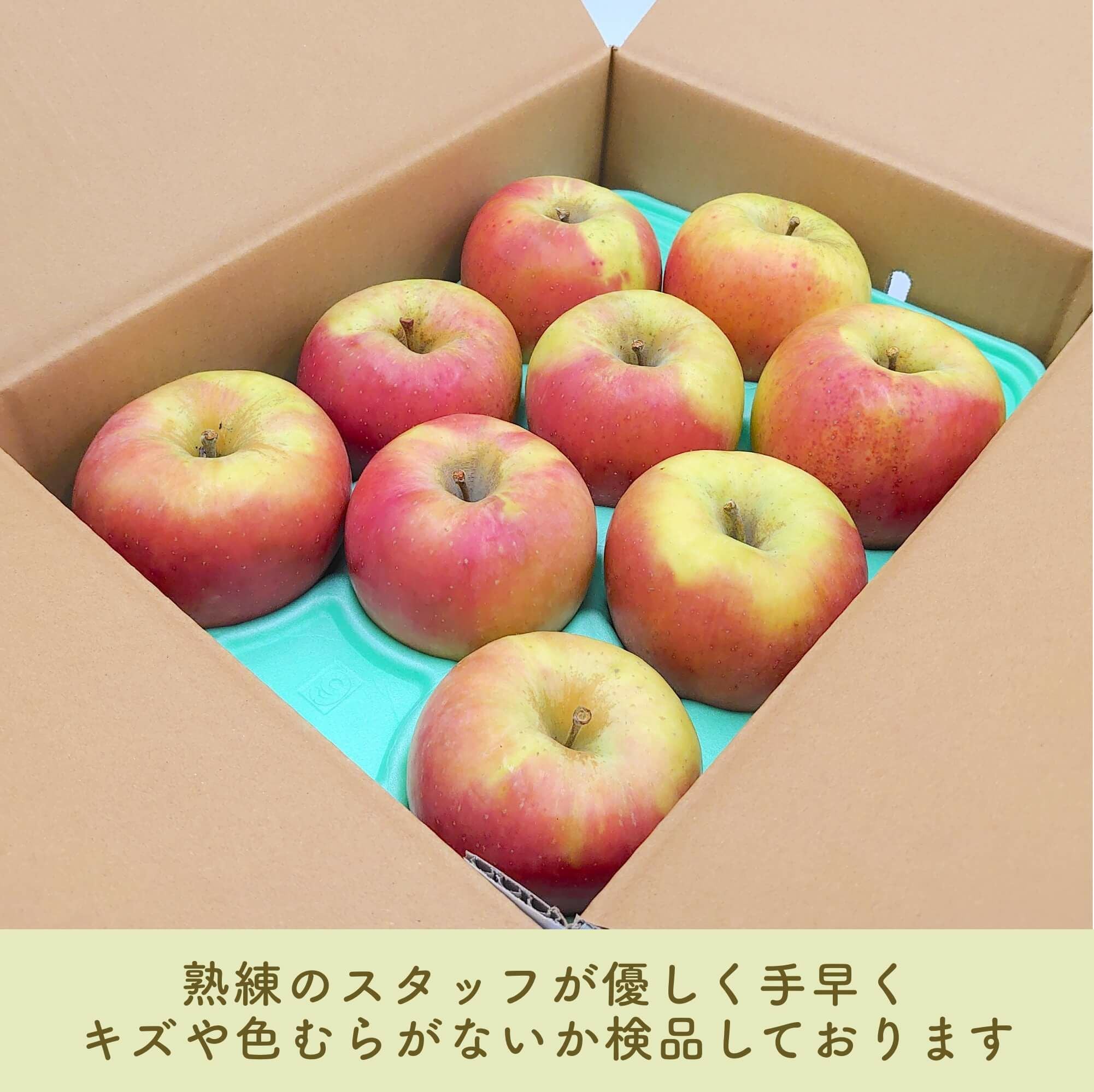 長野県産 りんご ぐんま名月 特秀 | COCORO FARM VILLAGE