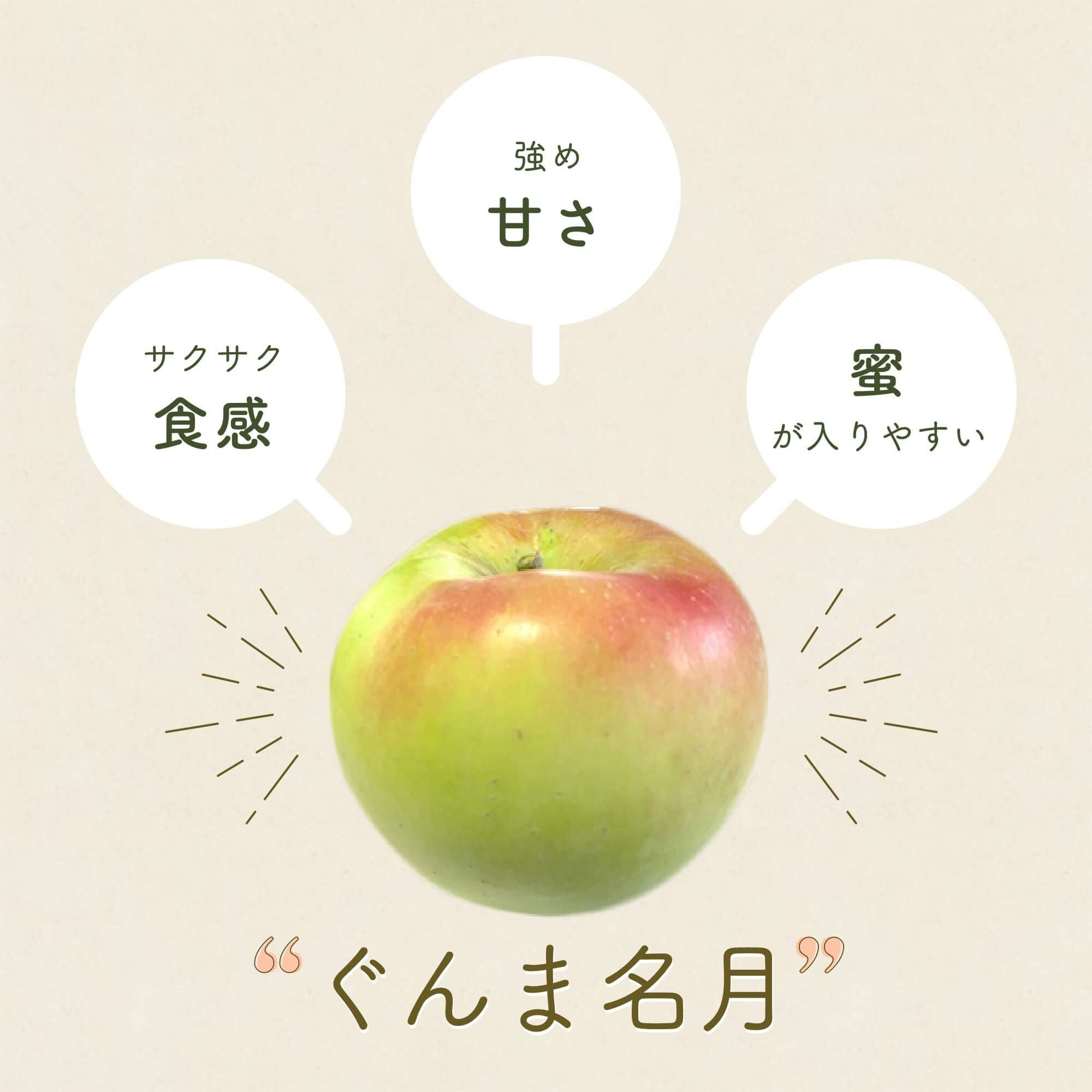 長野県産 りんご ぐんま名月 特秀 | COCORO FARM VILLAGE