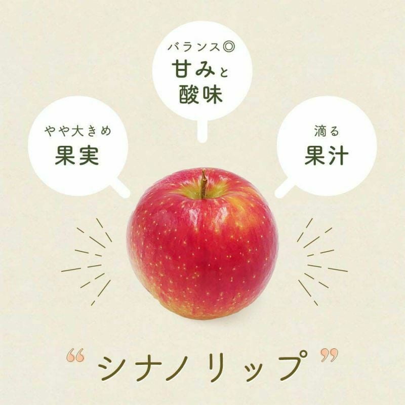 6/30まで5％OFF!】りんご シナノリップ 特秀2kg | COCORO FARM VILLAGE
