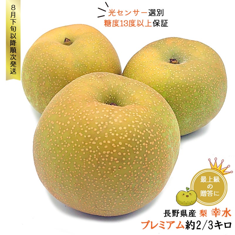幸水長野県産　みなみ信州　幸水　当日収穫　当日発送！！　20kg 梨：幸水|ココロマルシェ