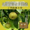 幸水