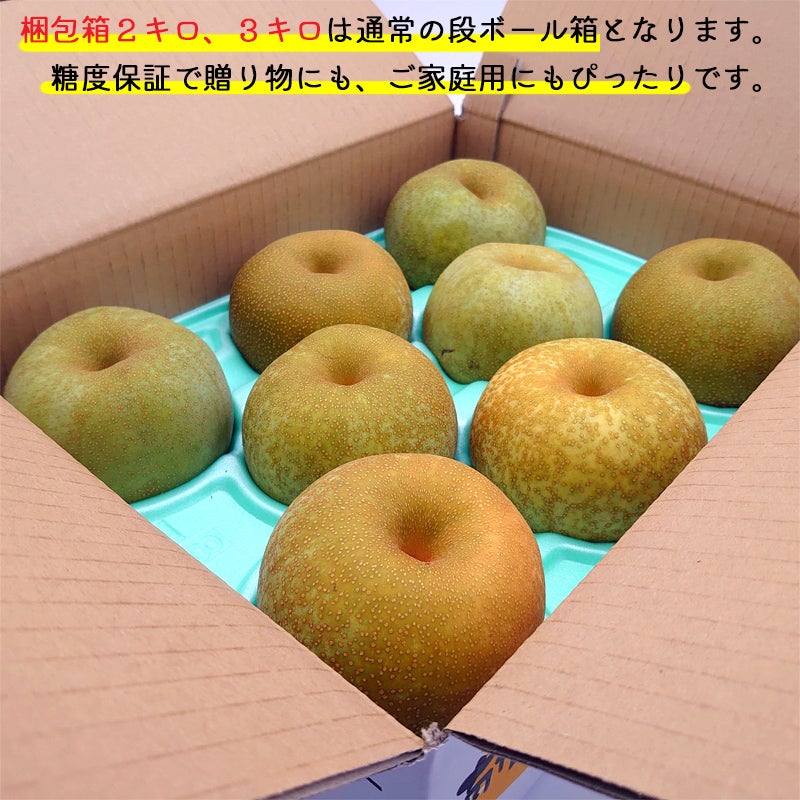 長野県産 梨 幸水 プレミアム ギフト 約2/3キロ | COCORO FARM VILLAGE