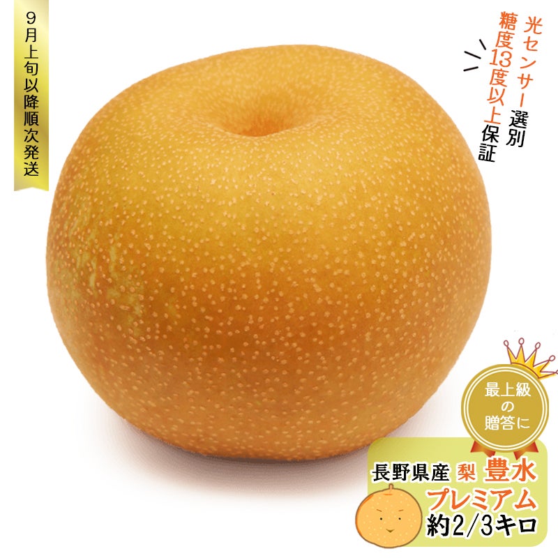 長野県産 梨 豊水 プレミアム 約3キロ ギフト 贈答用(7-9玉)