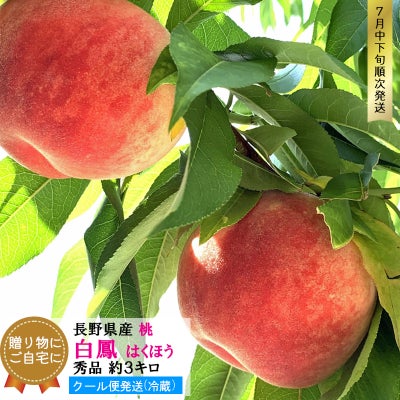 白鳳