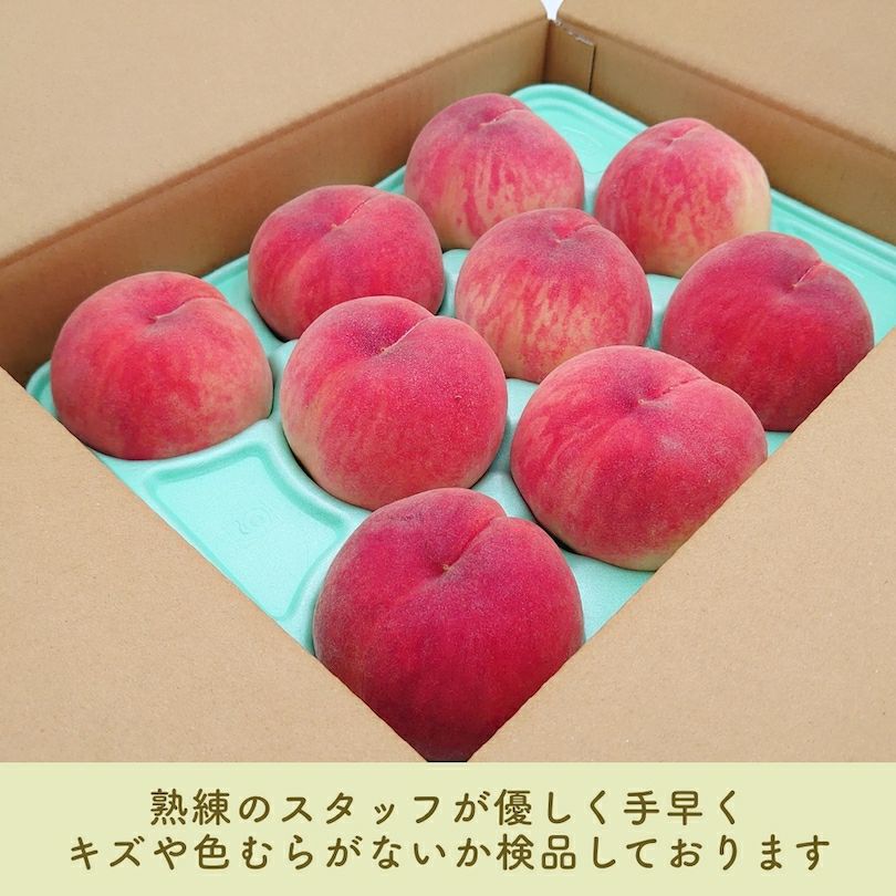 5kg箱✖️2セット　長野県産　白鳳　桃　高糖度　甘くてとてもジューシーな桃 長野県産 桃 白鳳贈答用 秀品 約3キロ | COCORO FARM VILLAGE