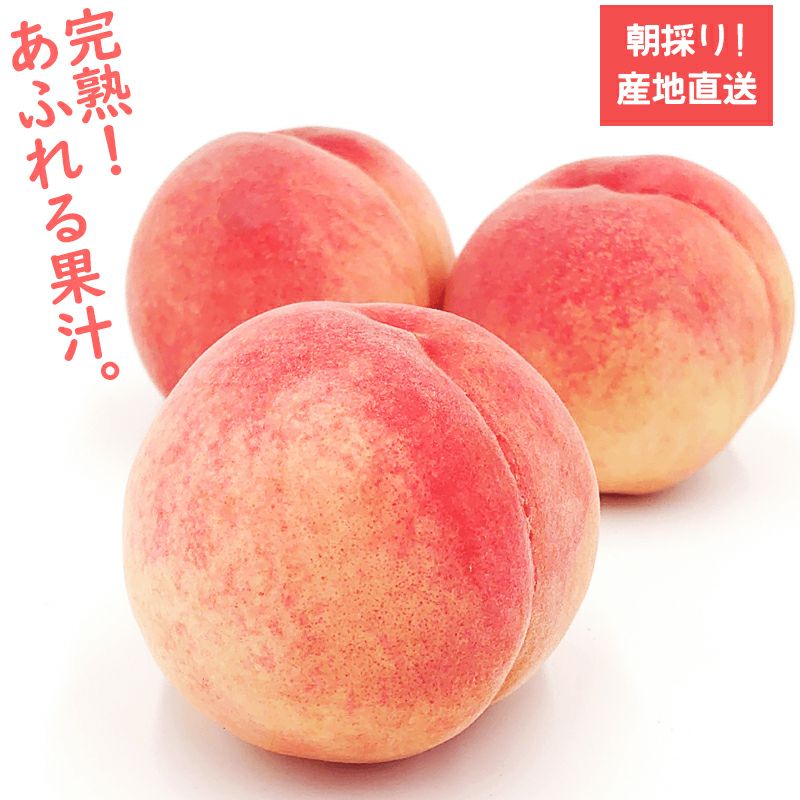 長野県産 桃 白鳳贈答用 秀品 約3キロ | COCORO FARM VILLAGE
