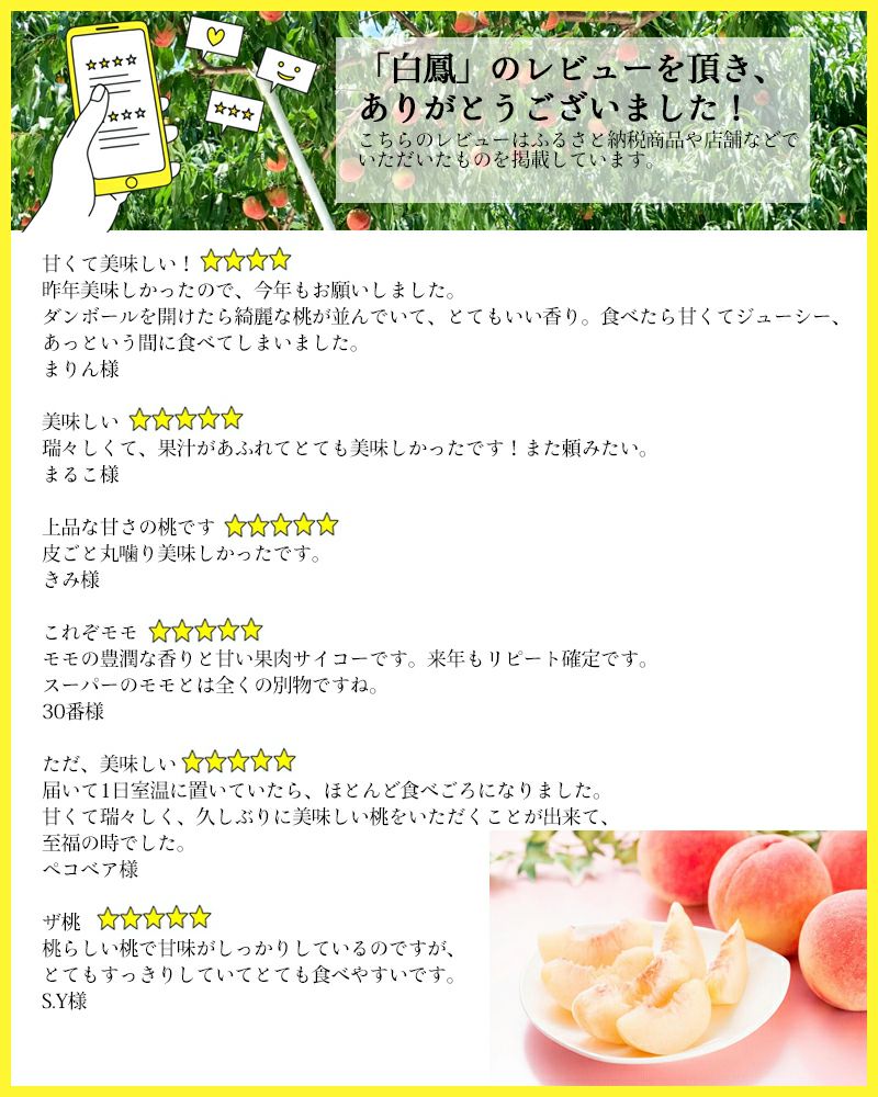 長野県産 桃 白鳳贈答用 秀品 約3キロ | COCORO FARM VILLAGE