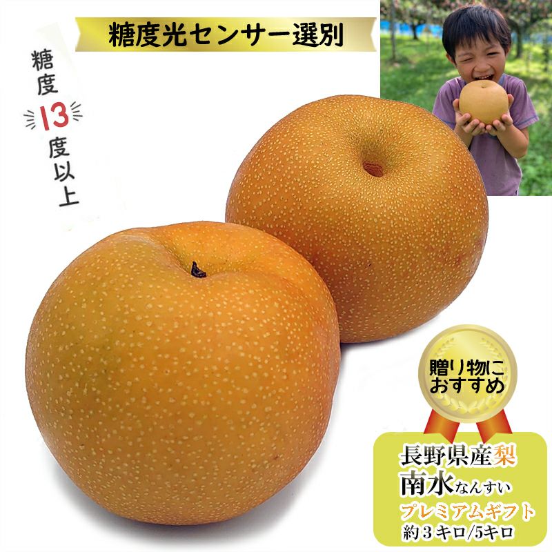 長野県産 梨 南水 プレミアム
約3キロ 5キロ 約3キロ(6~9玉) 約5キロ(10~15玉)