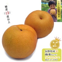 南水1