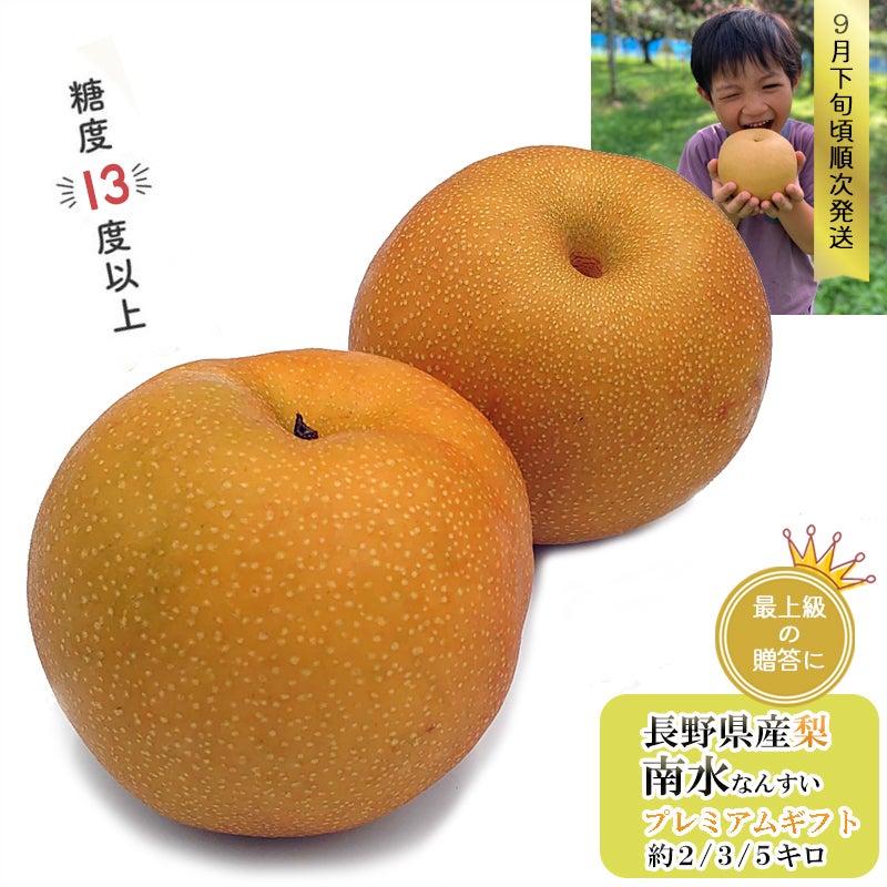 南水1