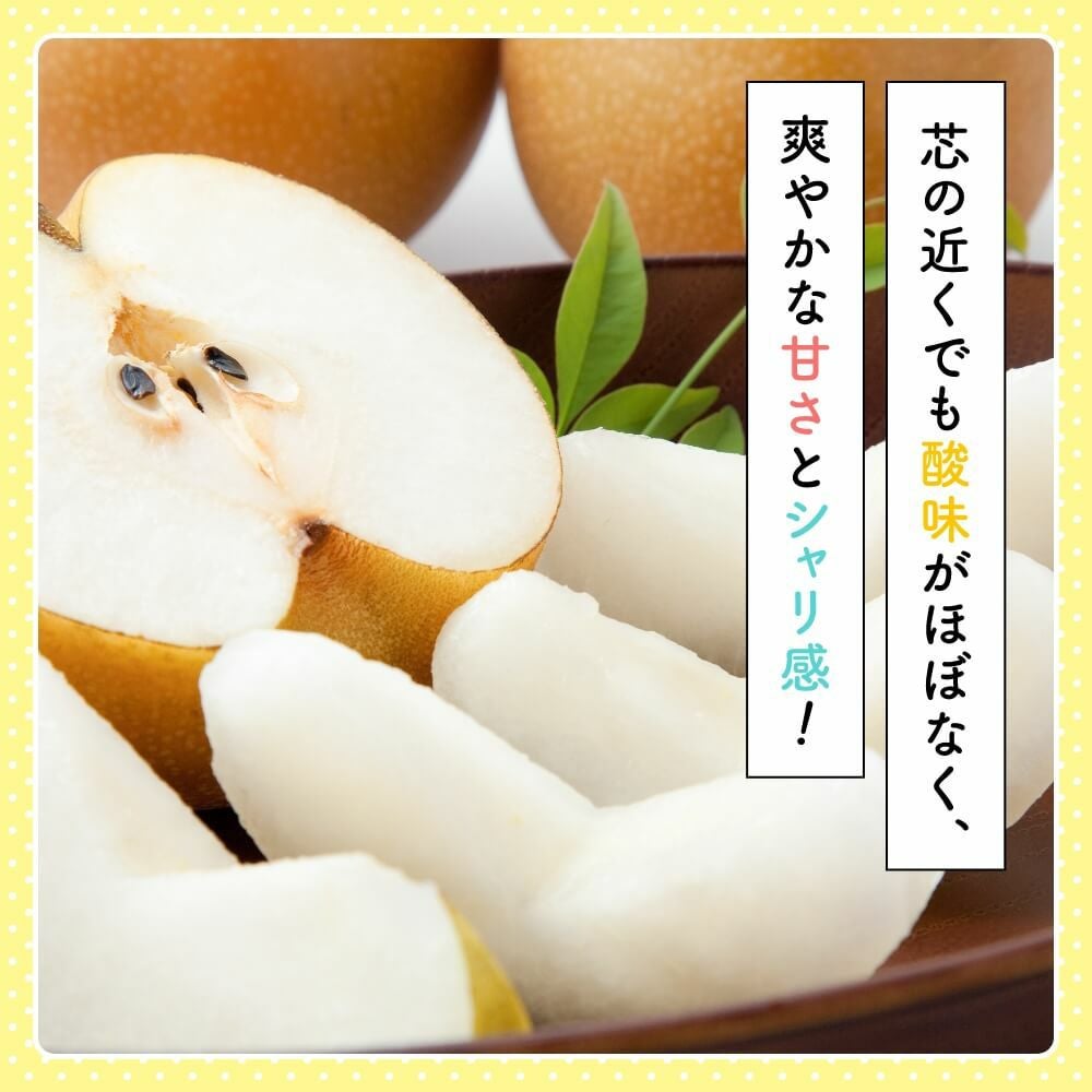 長野県産 梨 南水 プレミアム約3キロ 5キロ | COCORO FARM VILLAGE