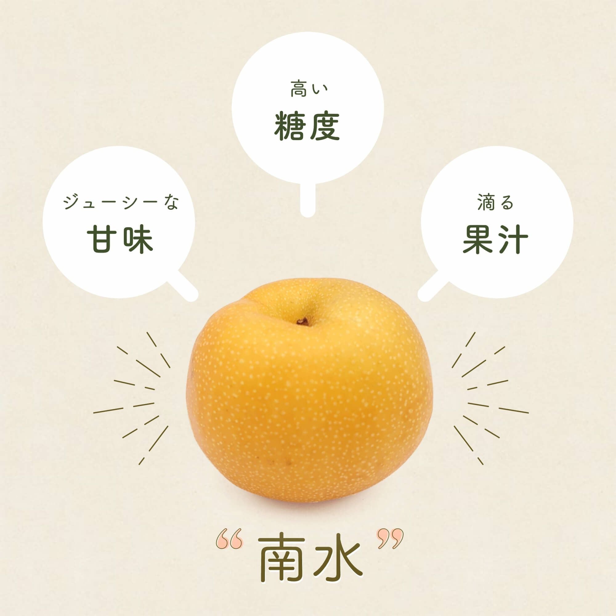 長野県産 梨 南水 プレミアム約3キロ 5キロ | COCORO FARM VILLAGE