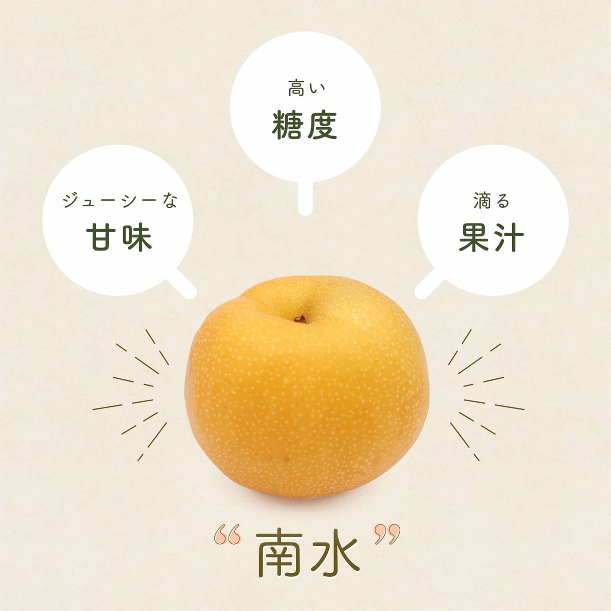 特徴