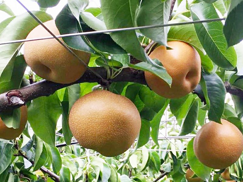 000000000157-10.jpg?size=l&w=