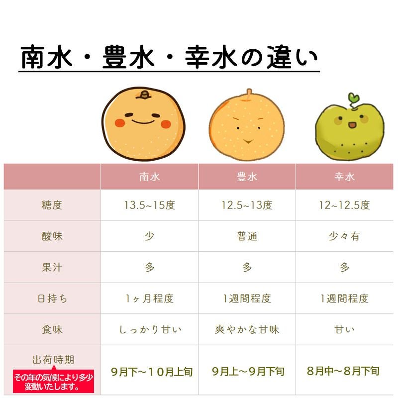 takaページです！！南水　5キロ　　2箱　贈答用 長野県産 梨 南水 プレミアム約3キロ 5キロ | COCORO FARM VILLAGE