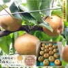 南水