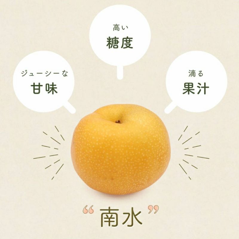 長野県産梨 南水 なんすい 家庭用小玉 キズ 約5キロ | COCORO FARM