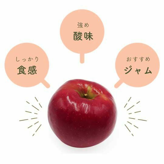 紅玉の特徴