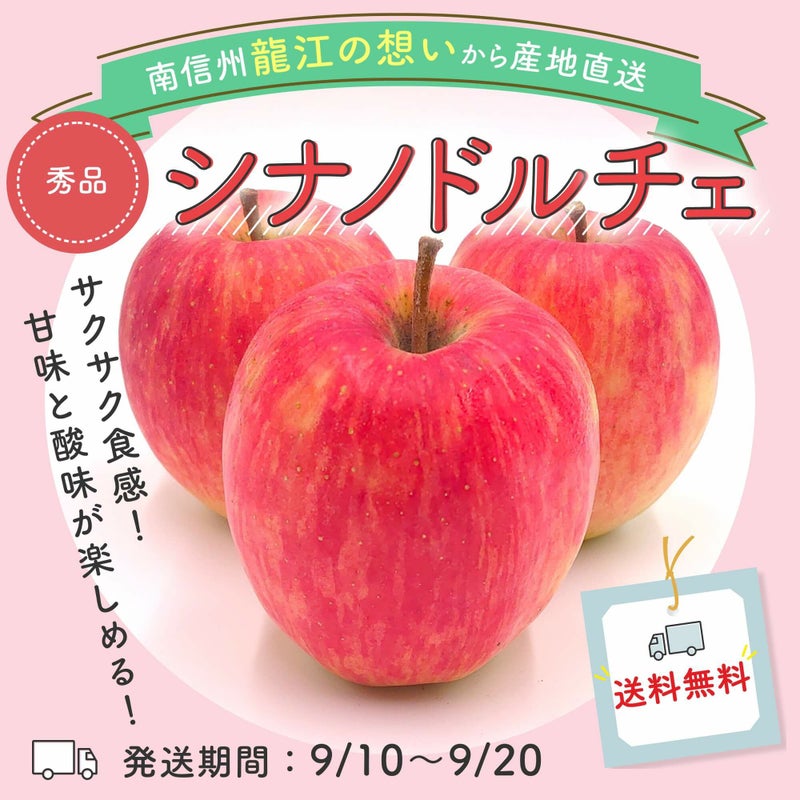 長野県産 りんご シナノドルチェ 秀 10kg