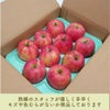 シナノドルチェ