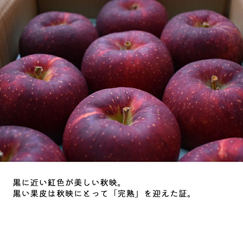 長野県産 りんご秋映 あきばえ プレミアム 約3キロ | COCORO FARM VILLAGE