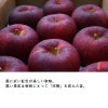 栽培