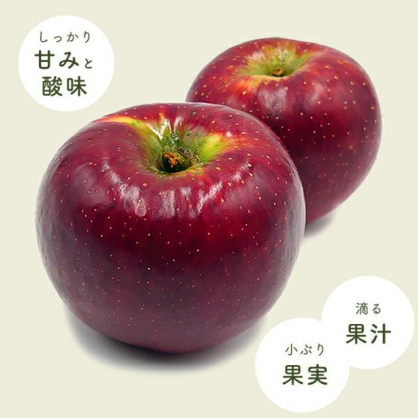 長野県産 りんご秋映 あきばえ プレミアム 約3キロ | COCORO FARM VILLAGE