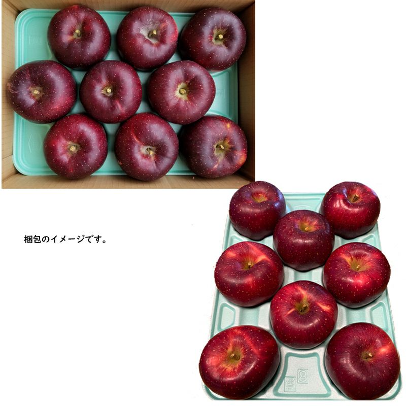 長野県産 りんご秋映 あきばえ プレミアム 約3キロ | COCORO FARM VILLAGE