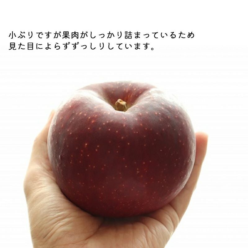 長野県産 りんご秋映 あきばえ プレミアム 約3キロ | COCORO FARM VILLAGE