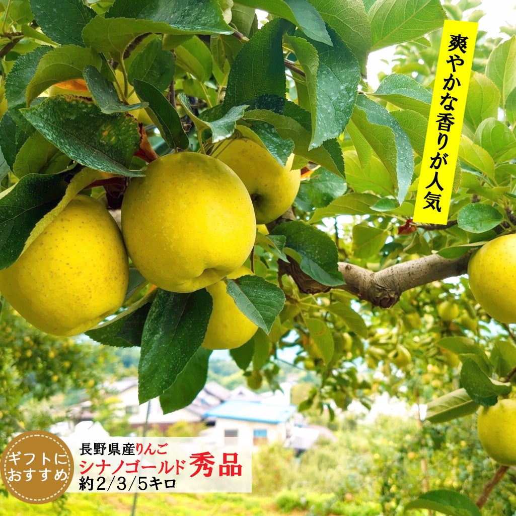 シナノゴールド