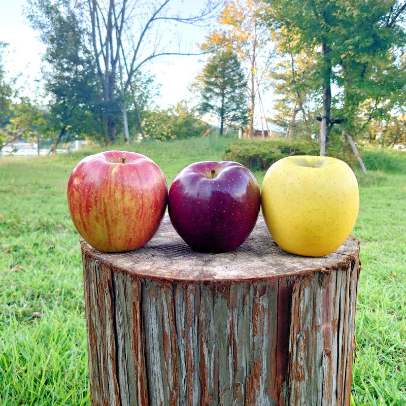 000000000179-03.jpg?size=l&w=