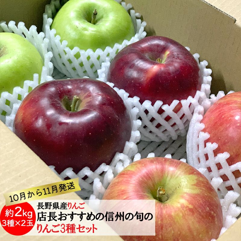 店長おすすめ 旬の信州りんご3種セット
