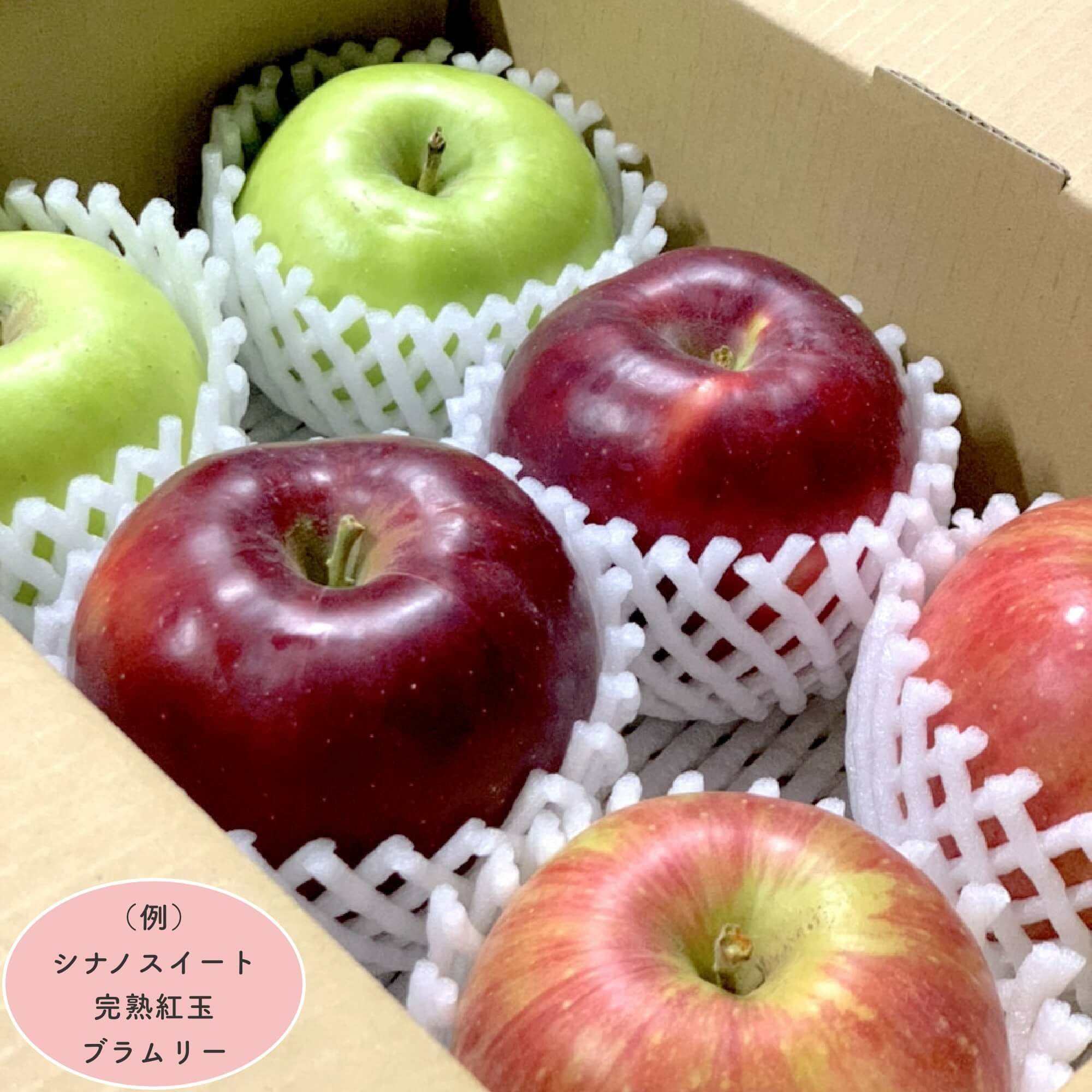 りんごりんご　38 店長おすすめ旬のりんご3種セット | COCORO FARM VILLAGE